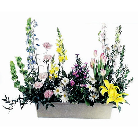 Paradise of Bright Blooms
