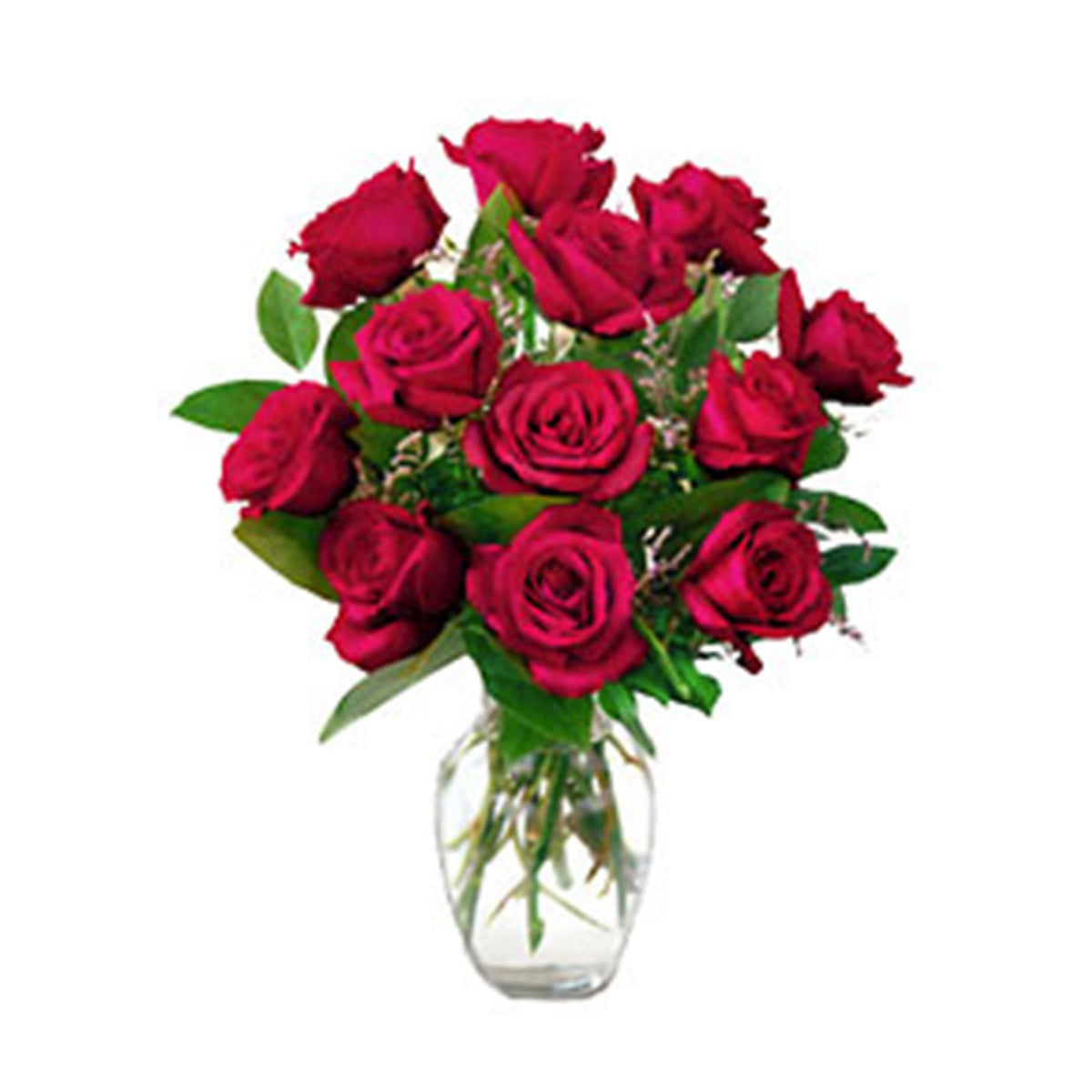 Dozen Medium Stem Roses – Molnar Funeral Homes / Treasured Memories ...