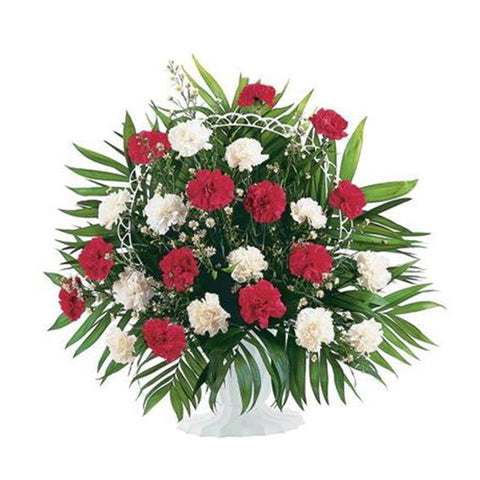 Display of Red and White Carnations