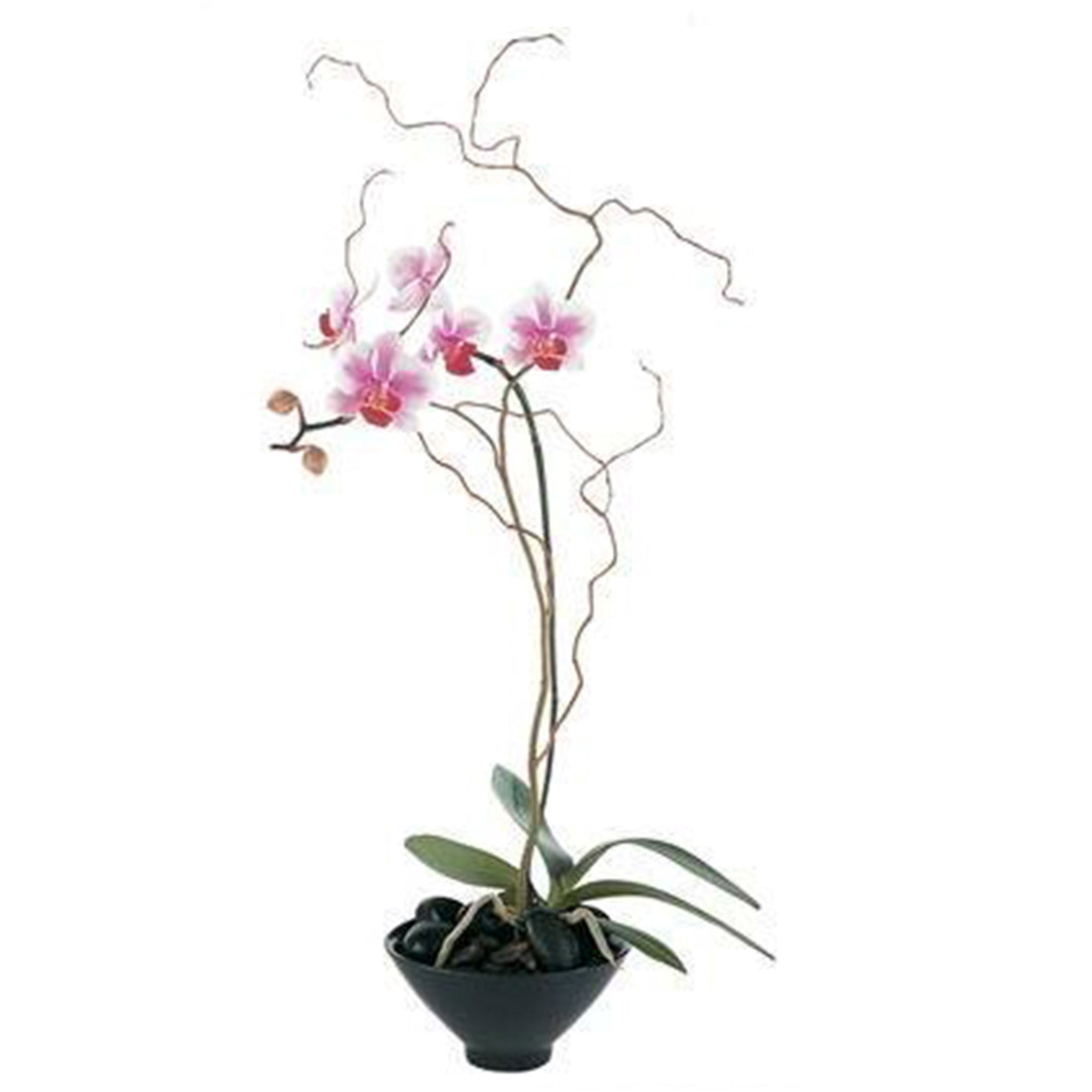 Send Zen